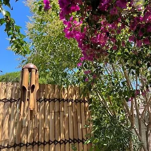 Studio Avec Rez De Jardin Six-Fours-les-Plages